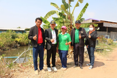 สหกรณ์จังหวัด ลงพื้นที่ตรวจเยี่ยมแปลงเกษตรผสมผสานสมาชิก พารามิเตอร์รูปภาพ 1